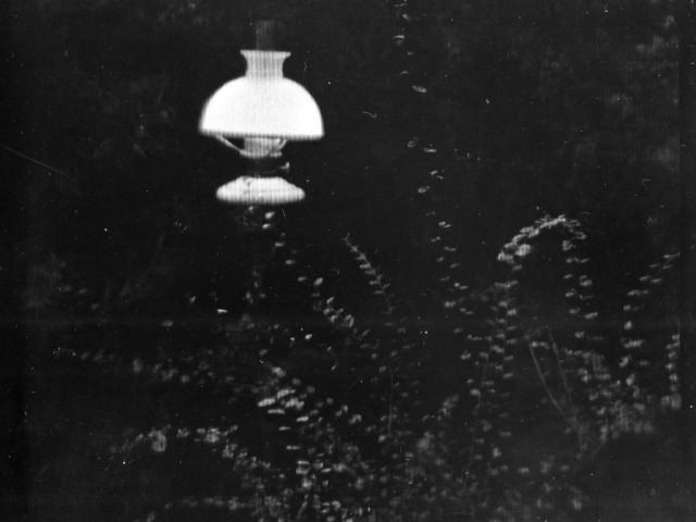 Josef Sudek,Lamp (From the series Rothmayer&rsquo;s Garden),1954&ndash;1959, 28 &times; 37 cm, from the PPF Art Collection