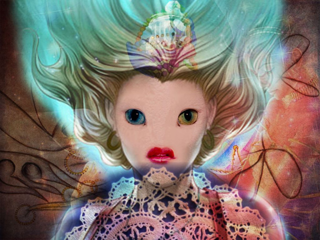 & (Barbora Trnkov&aacute; a Tom&aacute;&scaron; Javůrek), Generation of Princesses, 2011, snapshot from web based app