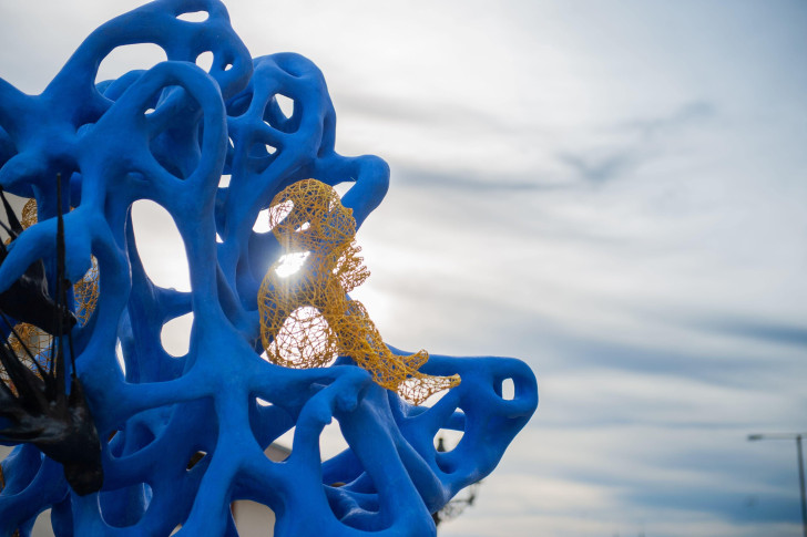 © Anastasiia Artemyak