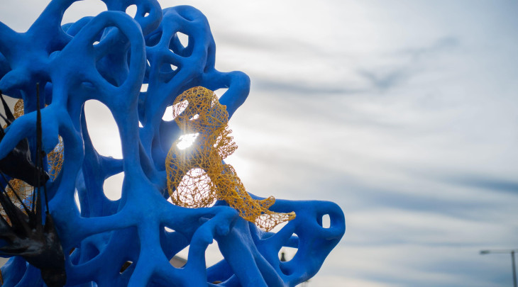 © Anastasiia Artemyak