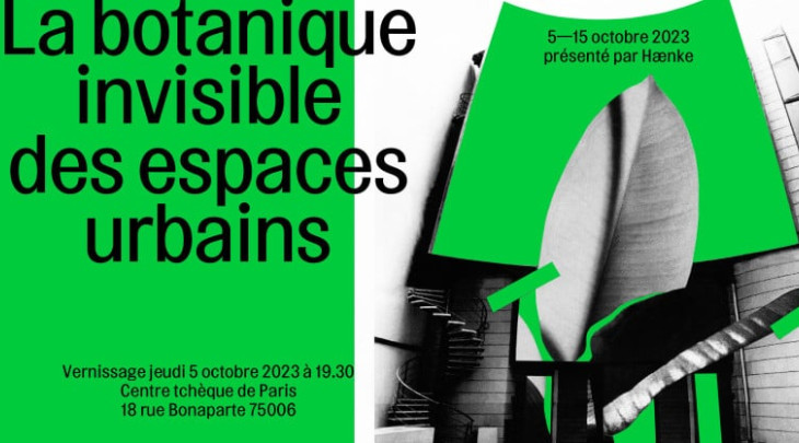 Neviditelná botanika městského prostředí. České centrum v Paříži vystavuje fotografie Vojtěcha Veškrny, živé rostliny a vědu jako umělecký objekt