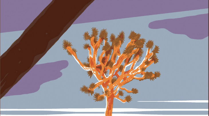 Objekty v zrcadle jsou blíž, než se zdají být - přebal knihy