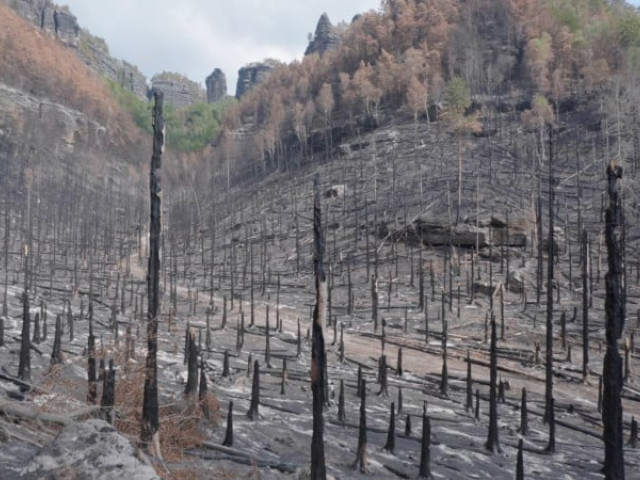 Adam Vačkář, Still frame from the Burning Ground, 2023