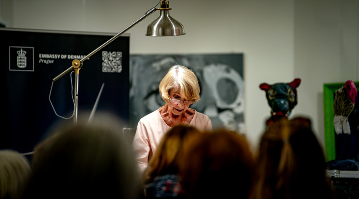 Galerie Toyen / Info centrum Praha 3 © Jack Ollila