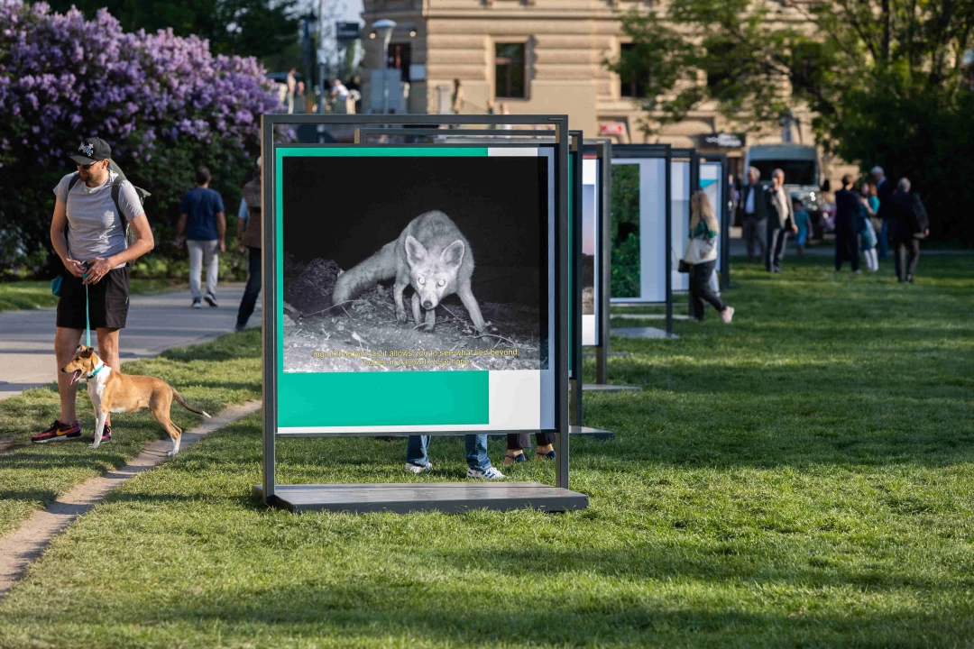 Nature Future – Mladá evropská fotografie, projekt EUNIC clusteru Praha © Eva Kořínková